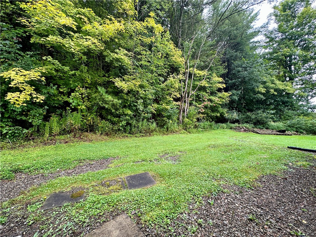 4672 Meads Creek Road Campbell, NY 14870 - Photo 18 of 24 Gallery Image 18