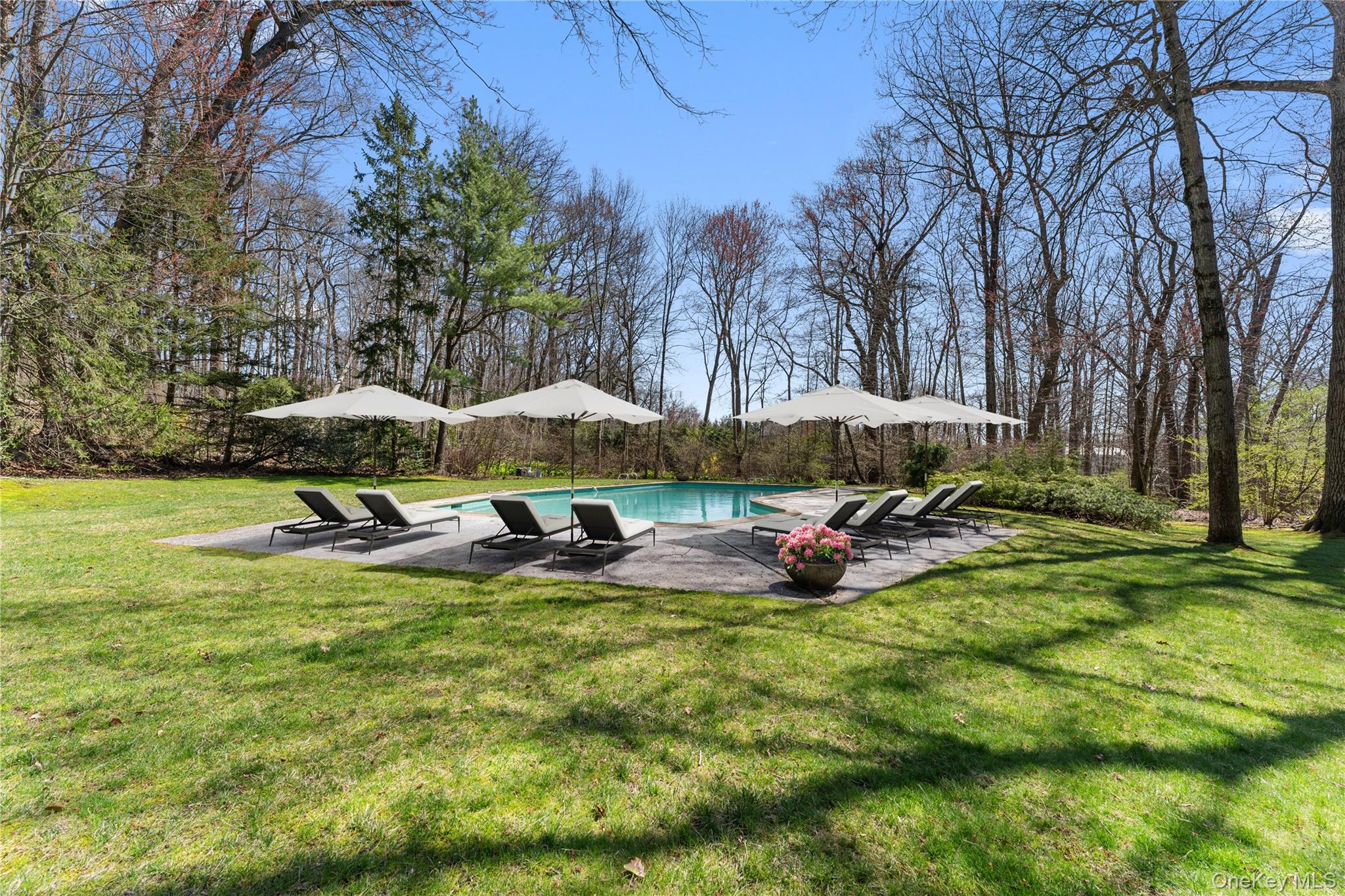 98 Cushman Road Scarsdale, NY 10583 - Photo 38 of 43 a view of a swimming pool and outside space
