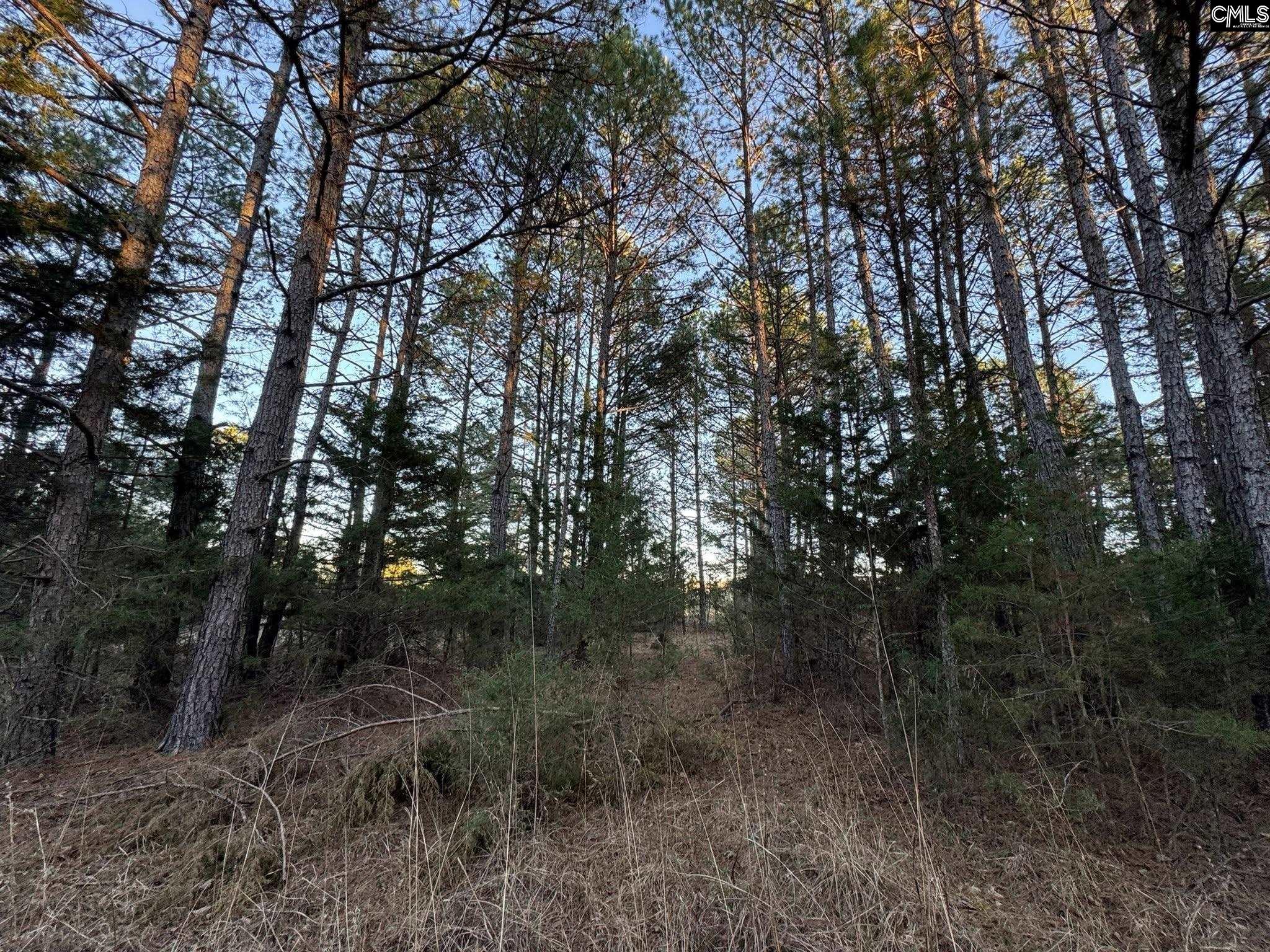 150 Floyd Lanford Road Woodruff, SC 29388 - Photo 39 of 65