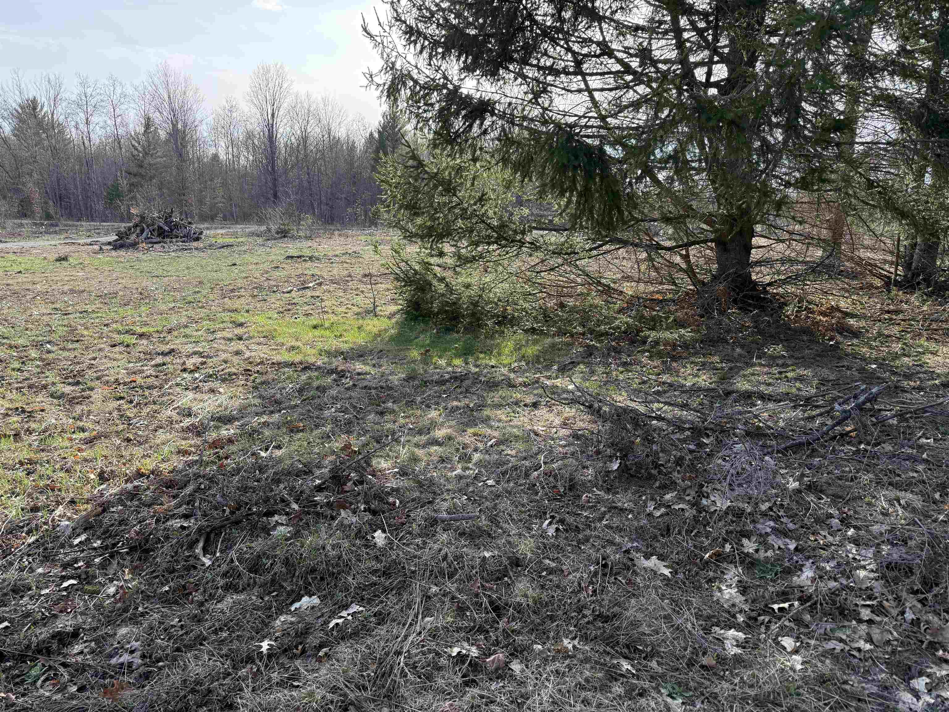 Parcel D North Carmean Road Interlochen, MI 49643 - Photo 5 of 12