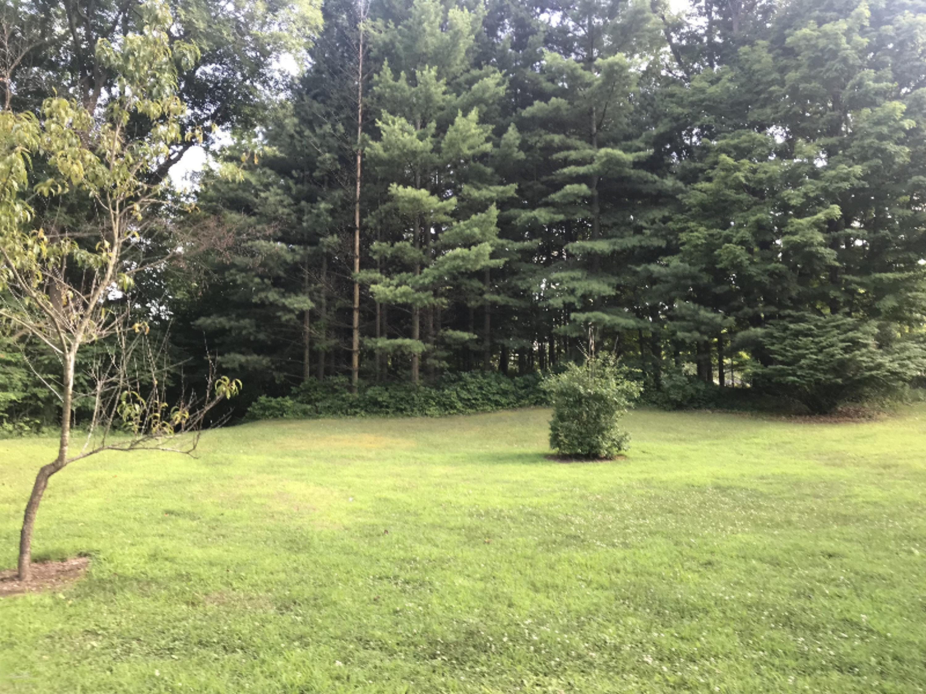 9791 Abbott Road Camden, MI 49232 - Photo 25 of 31 IMG_1152