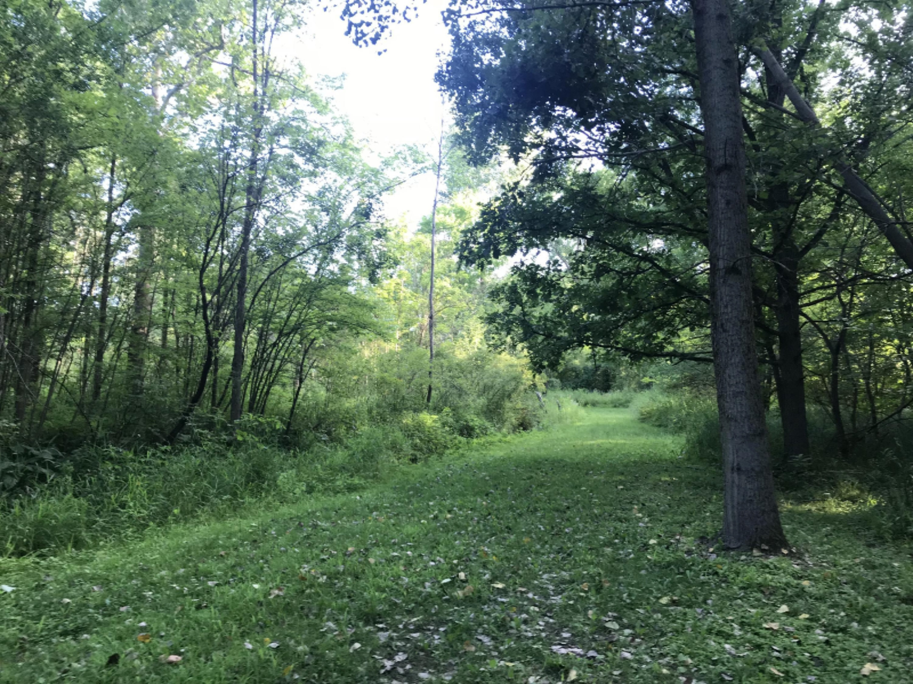 9791 Abbott Road Camden, MI 49232 - Photo 27 of 31 IMG_1158