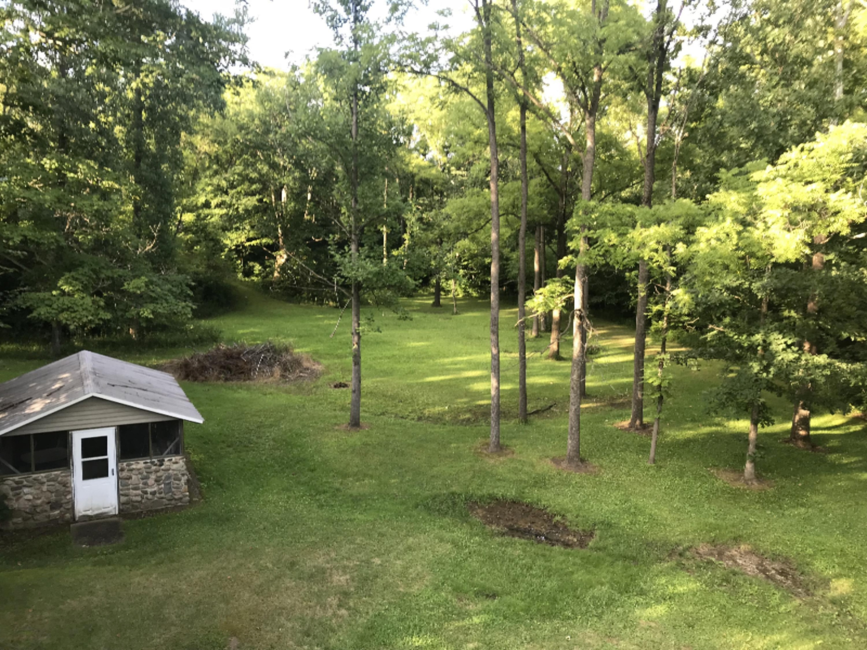 9791 Abbott Road Camden, MI 49232 - Photo 31 of 31 IMG_1165