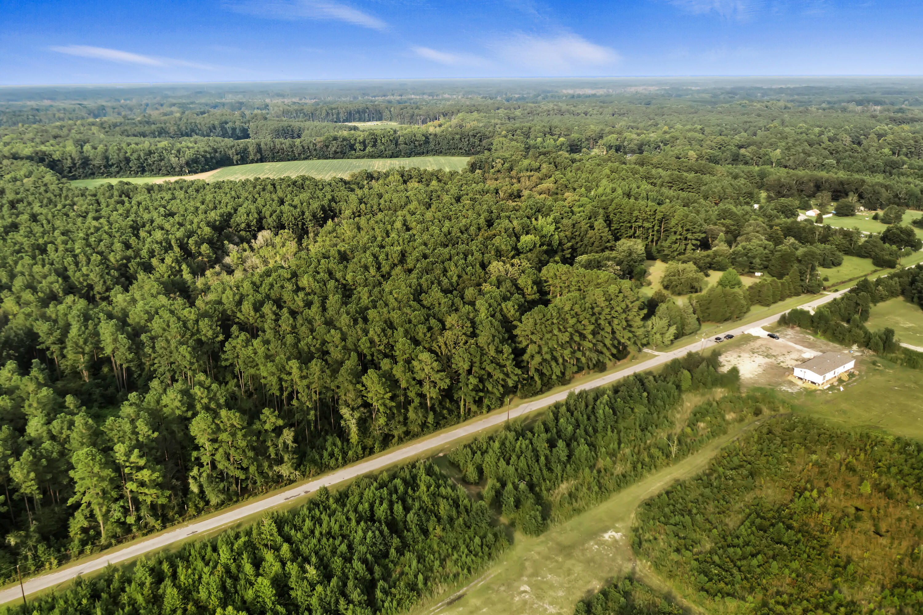 236 Fox Run Road St. George, SC 29477 - Photo 38 of 39 DJI_0627