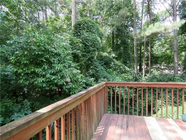 a view of a garden with plants and large trees