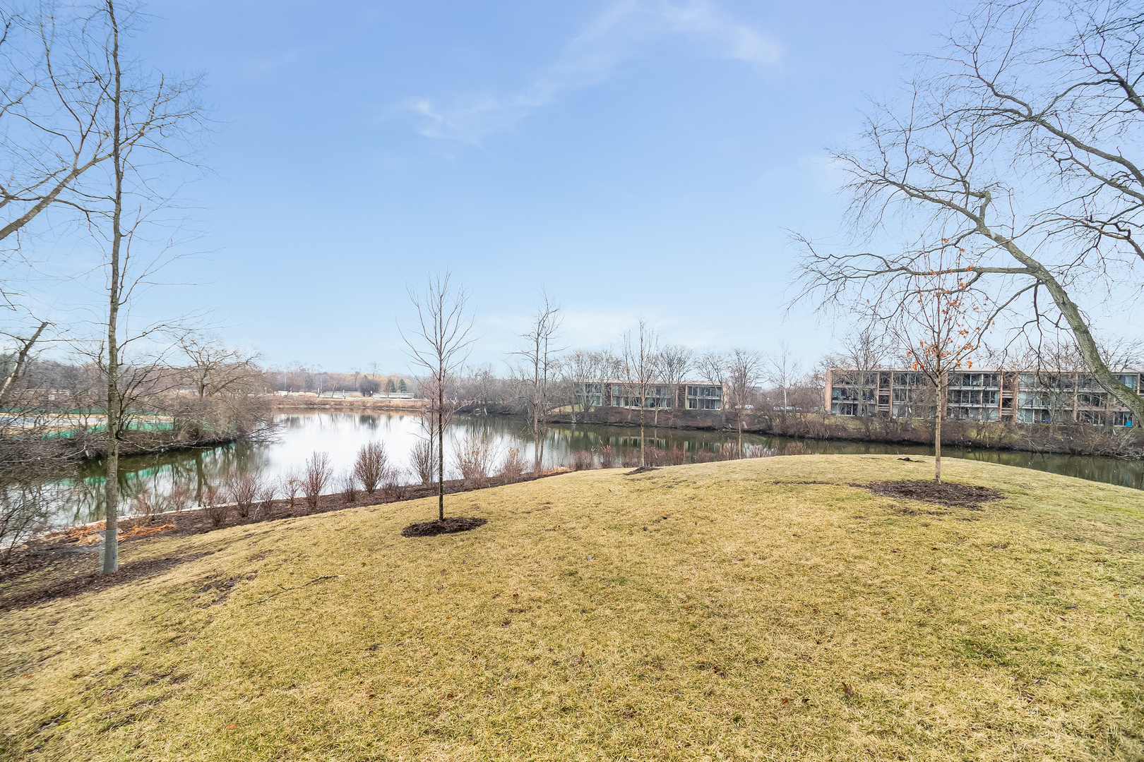 6015 Forest View Road, Unit 1A Lisle, IL 60532 - Photo 24 of 32 a view of a swimming pool
