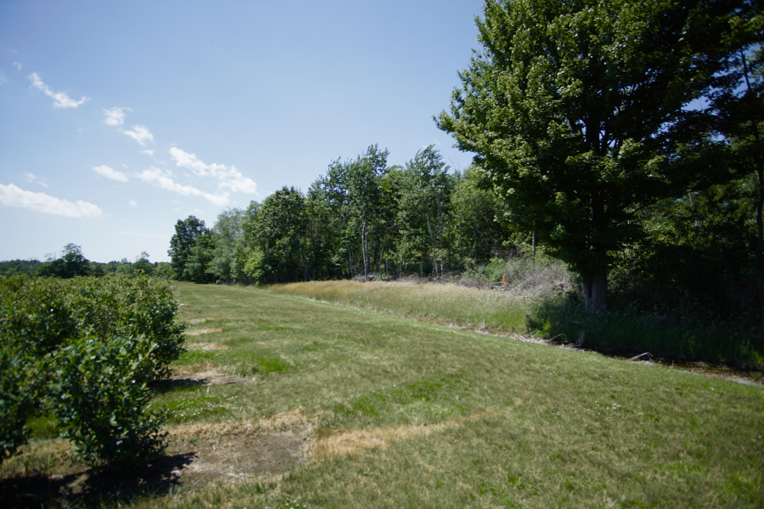 3 Hickory Street Spring Lake, MI 49456 - Photo 4 of 9 parcel 3 back