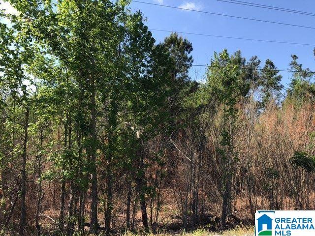 1 Shoal Creek Road, Unit 1 Ashville, AL 35953 - Photo 5 of 7