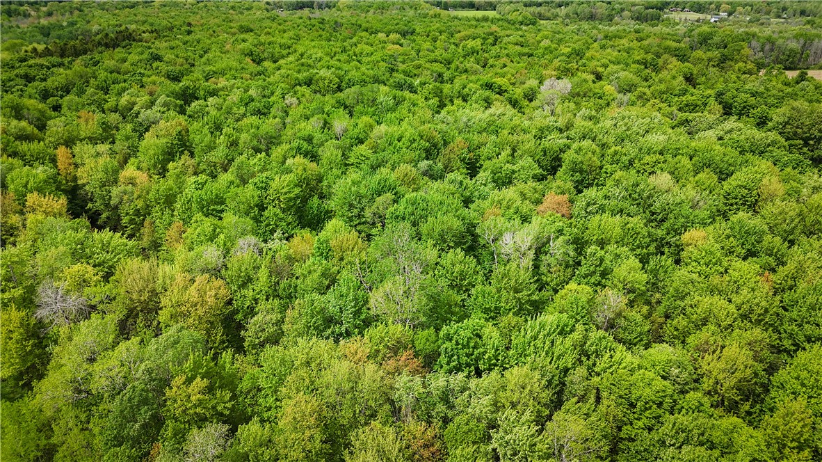 Gifford Road Hannibal, NY 13074 - Photo 24 of 50