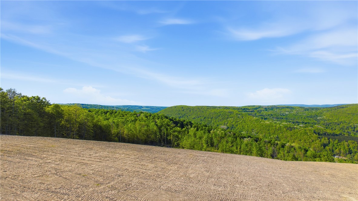 183 Dunn Road Catlin, NY 14845 - Photo 39 of 50