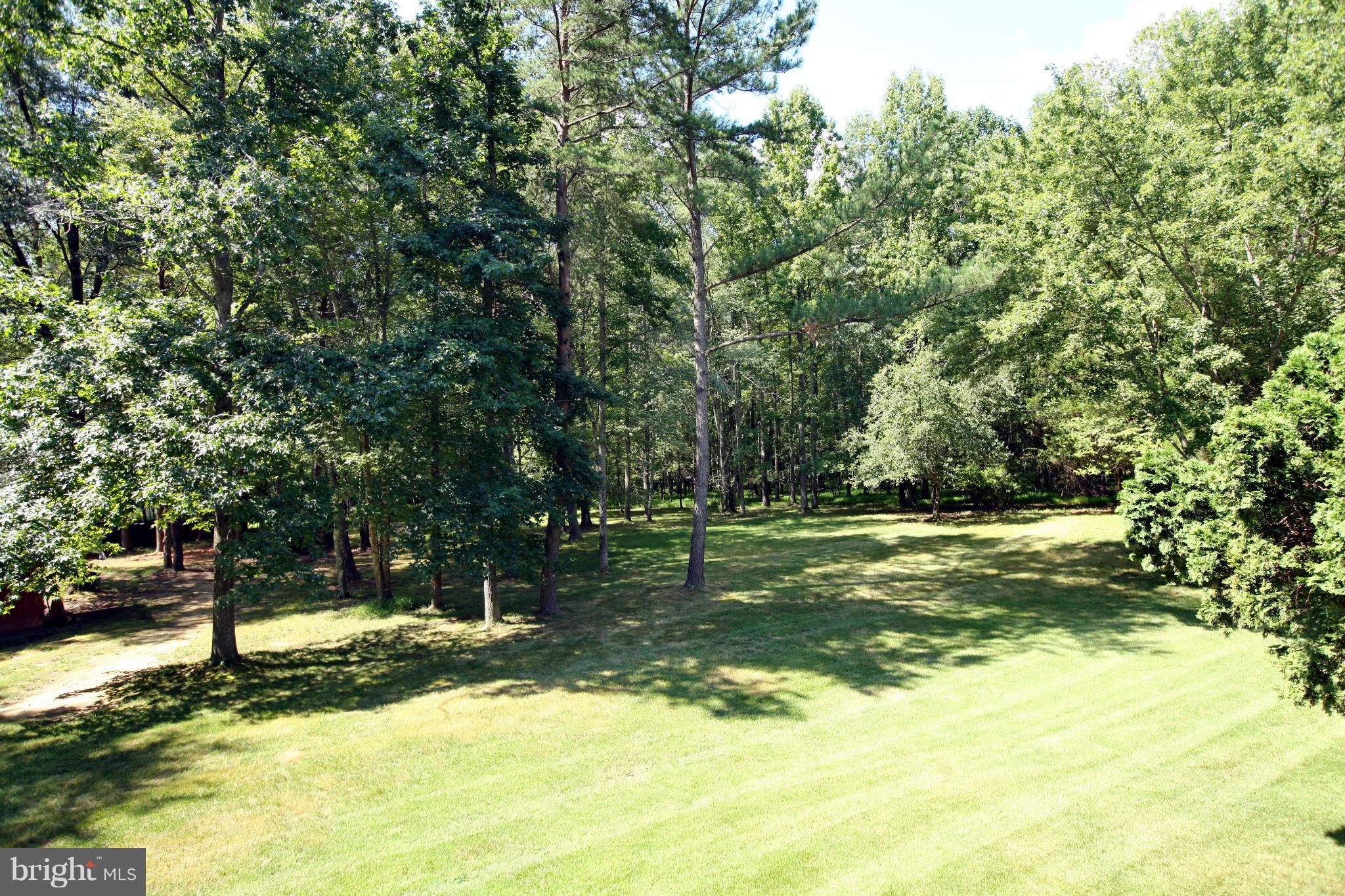 8725 Lowell Road Pomfret, MD 20675 - Photo 30 of 30 View of Back Yard from Deck