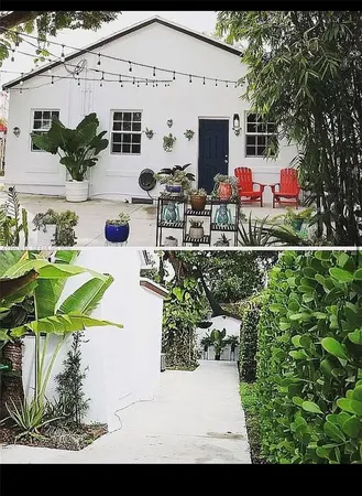 a picture of plants