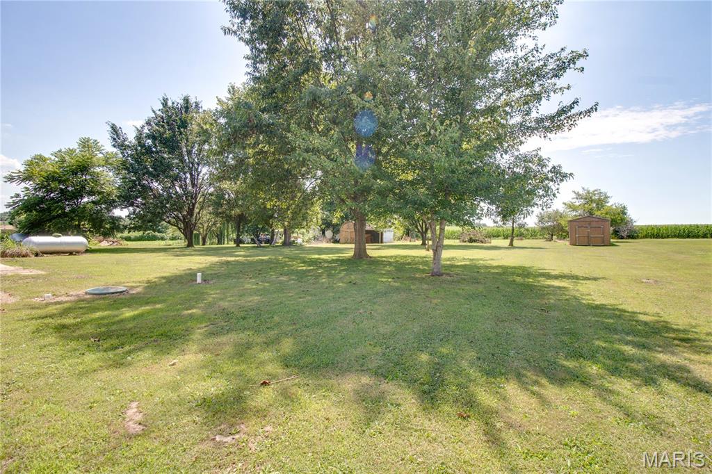 208 South Public Road Fieldon, IL 62031 - Photo 25 of 32