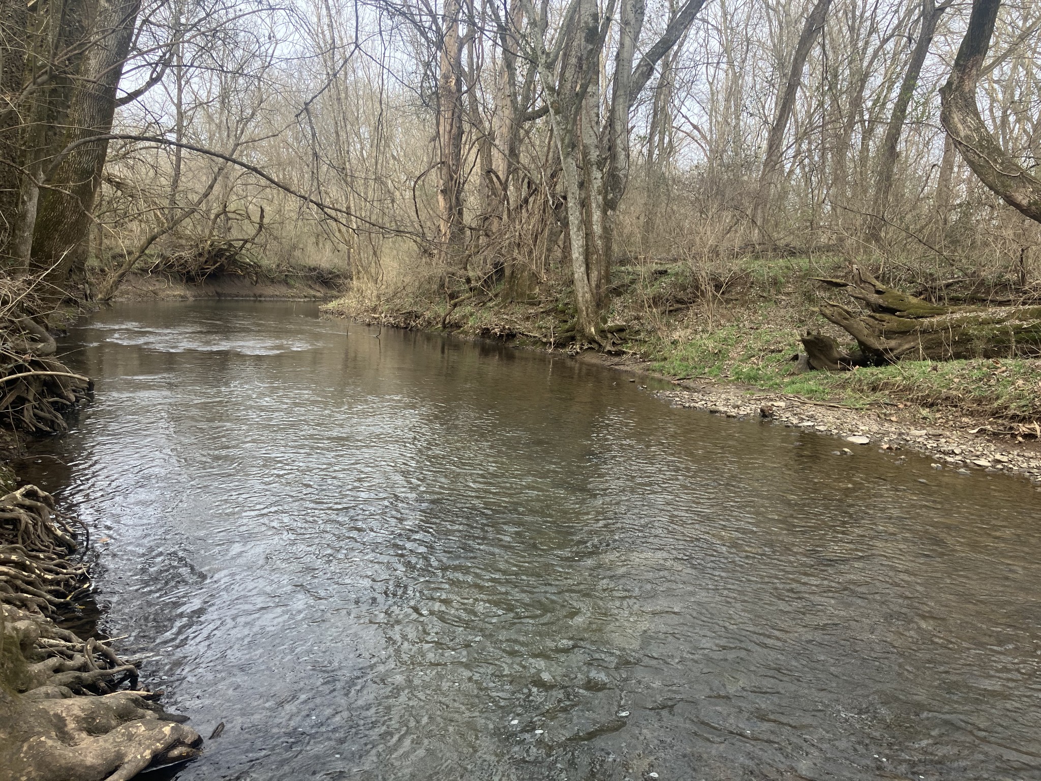 6 Southport Road Mount Pleasant, TN 38474 - Photo 1 of 10 a view of lake with mountain