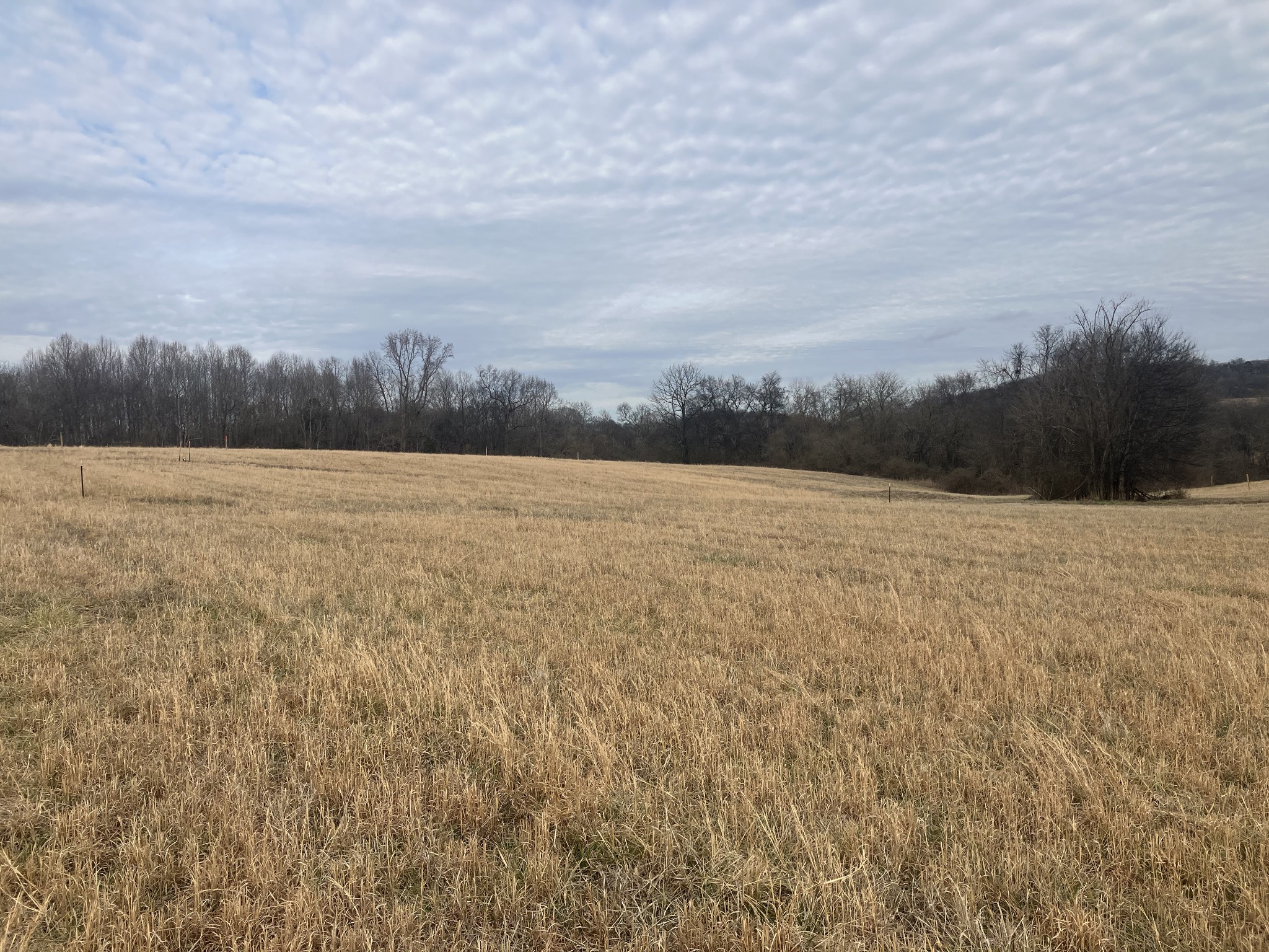 6 Southport Road Mount Pleasant, TN 38474 - Photo 2 of 10 a view of lake and mountain view
