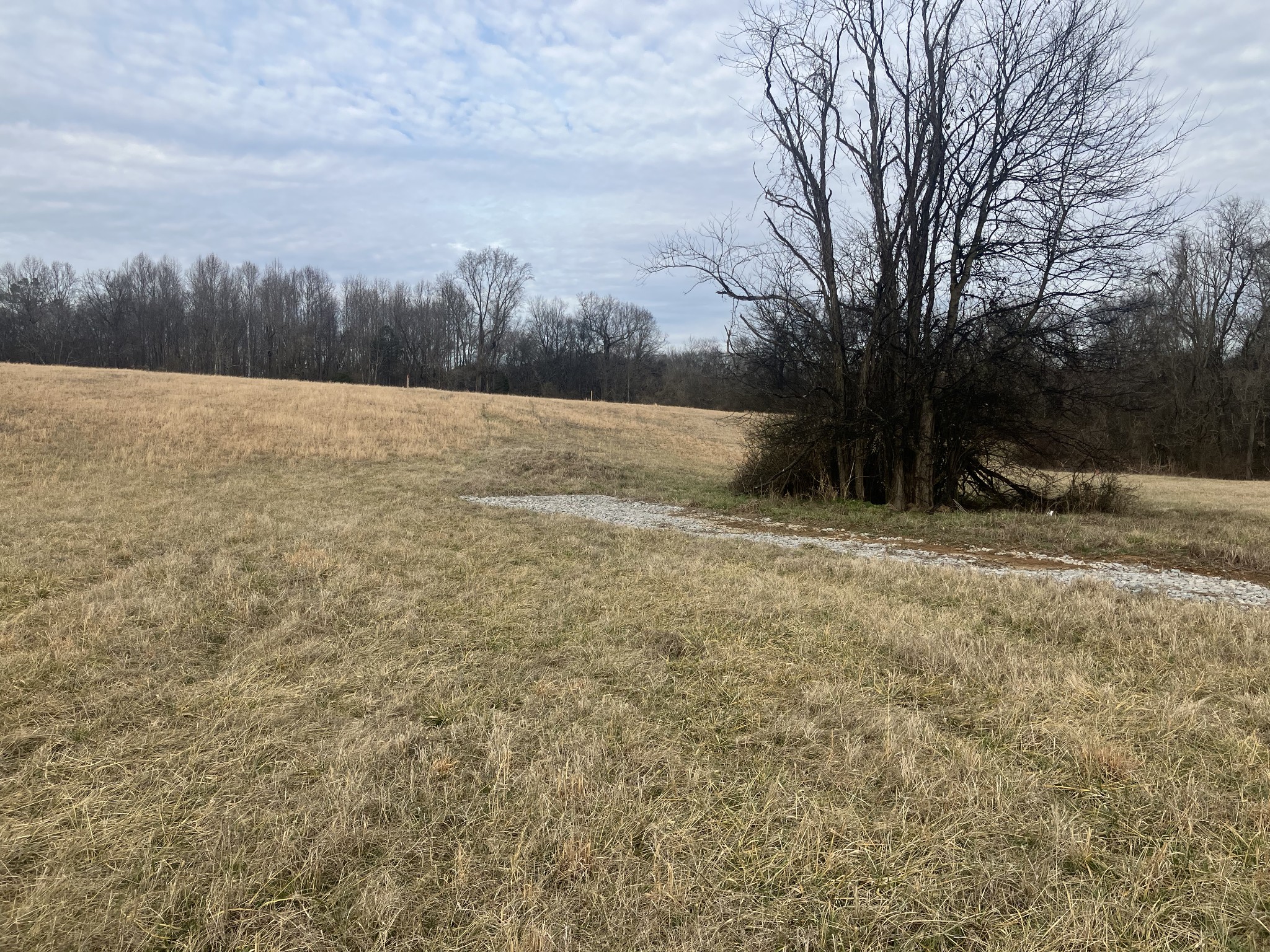6 Southport Road Mount Pleasant, TN 38474 - Photo 4 of 10 a view of outdoor space and yard