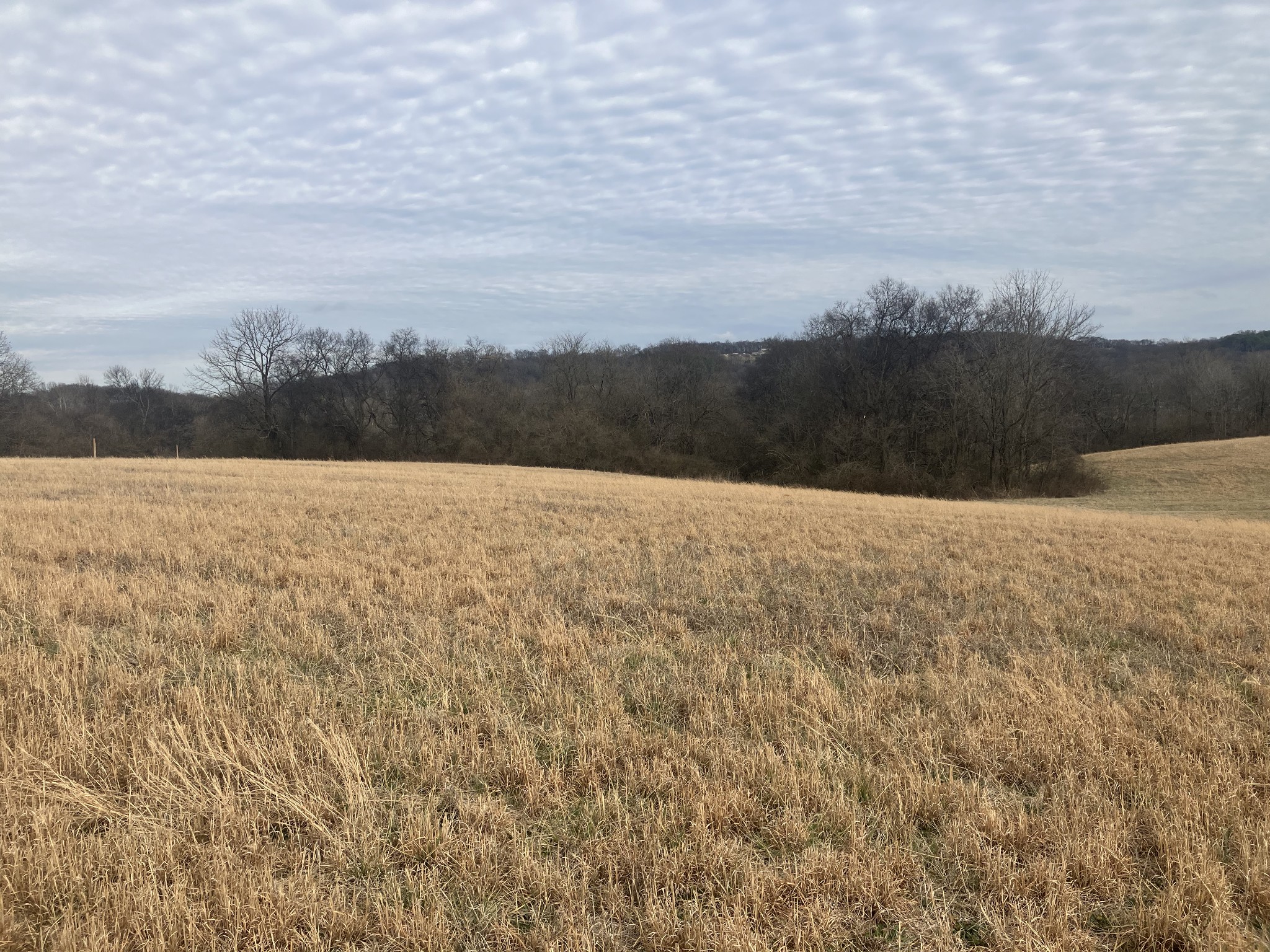 6 Southport Road Mount Pleasant, TN 38474 - Photo 7 of 10 a view of outdoor space and mountain view