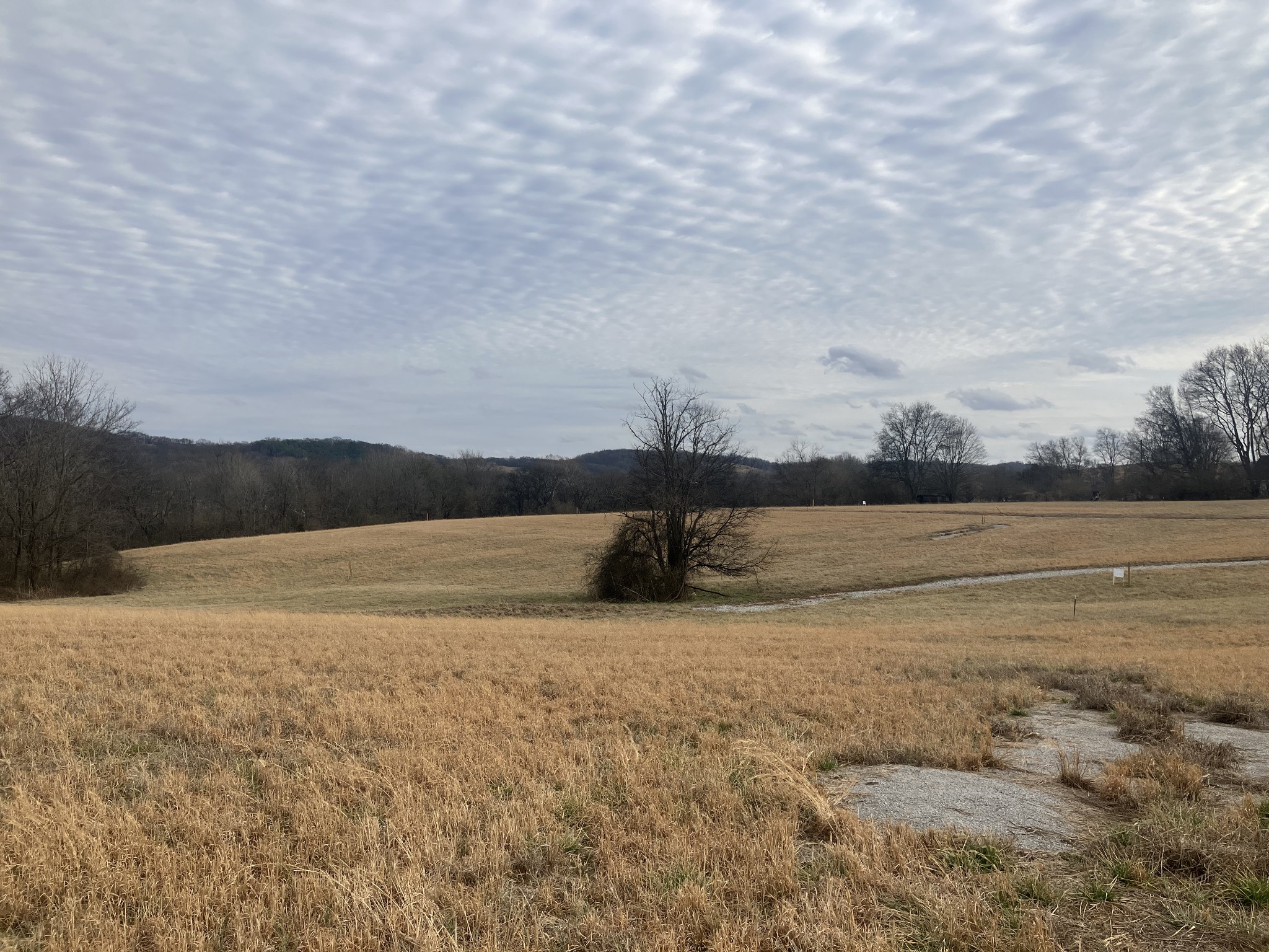 6 Southport Road Mount Pleasant, TN 38474 - Photo 8 of 10 a view of lake
