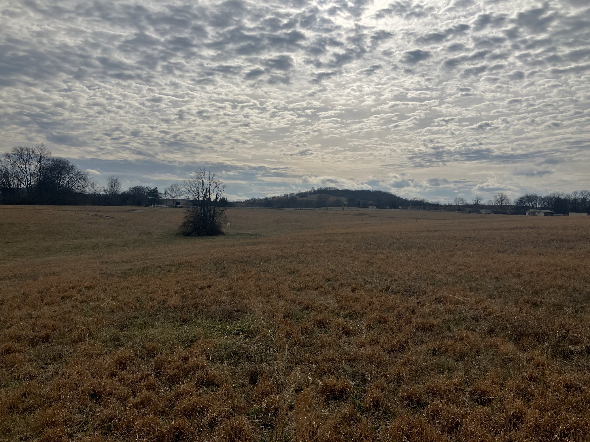 6 Southport Road Mount Pleasant, TN 38474 - Photo 9 of 10 a view of an ocean