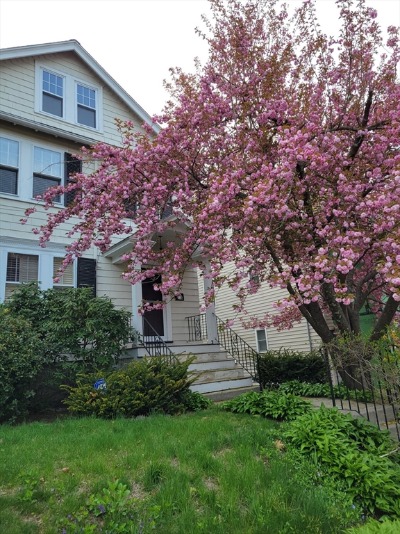 156 Russett Road Boston, MA 02132 - Photo 32 of 32 a front view of a house with a garden