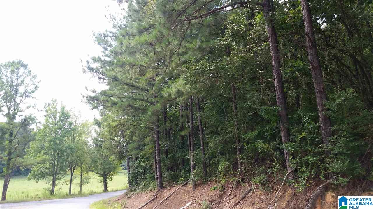1885 Brooks Lake Road Lincoln, AL 35096 - Photo 16 of 30