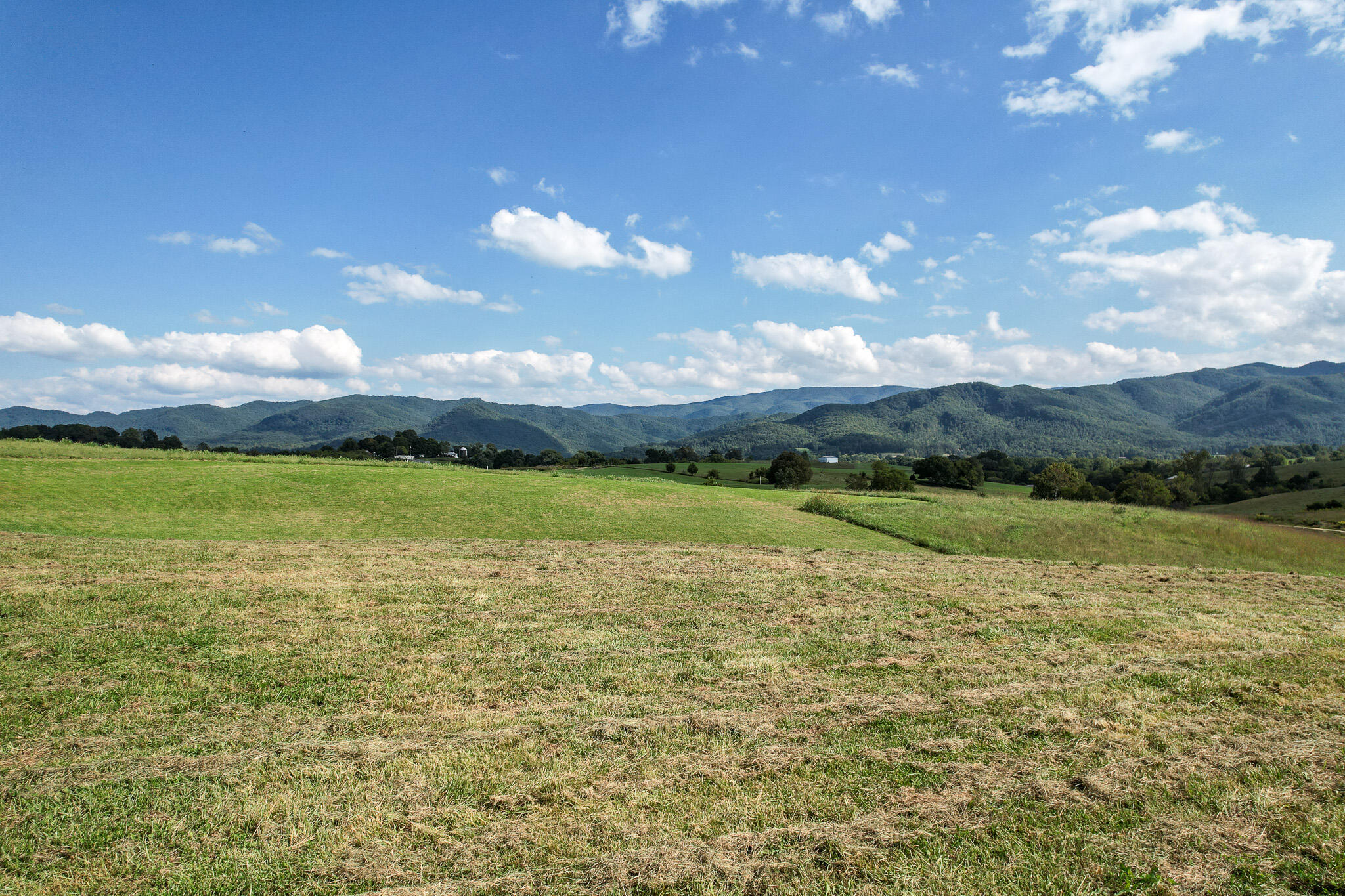 3.75-acres Laws Road, Unit 5R Limestone, TN 37681 - Photo 12 of 14 DJI_0610