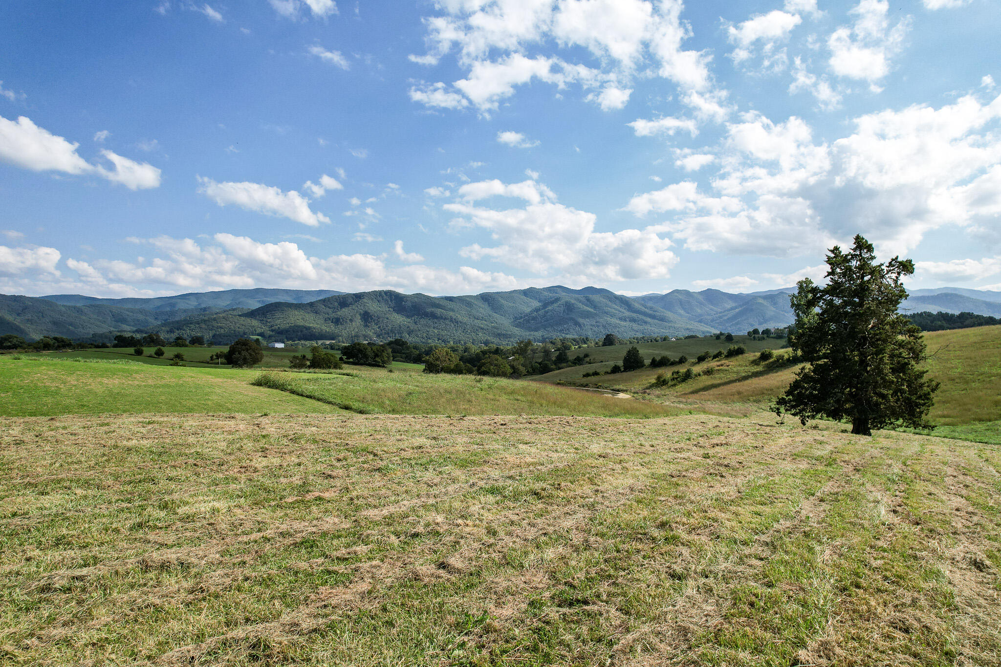 3.75-acres Laws Road, Unit 5R Limestone, TN 37681 - Photo 13 of 14 DJI_0611