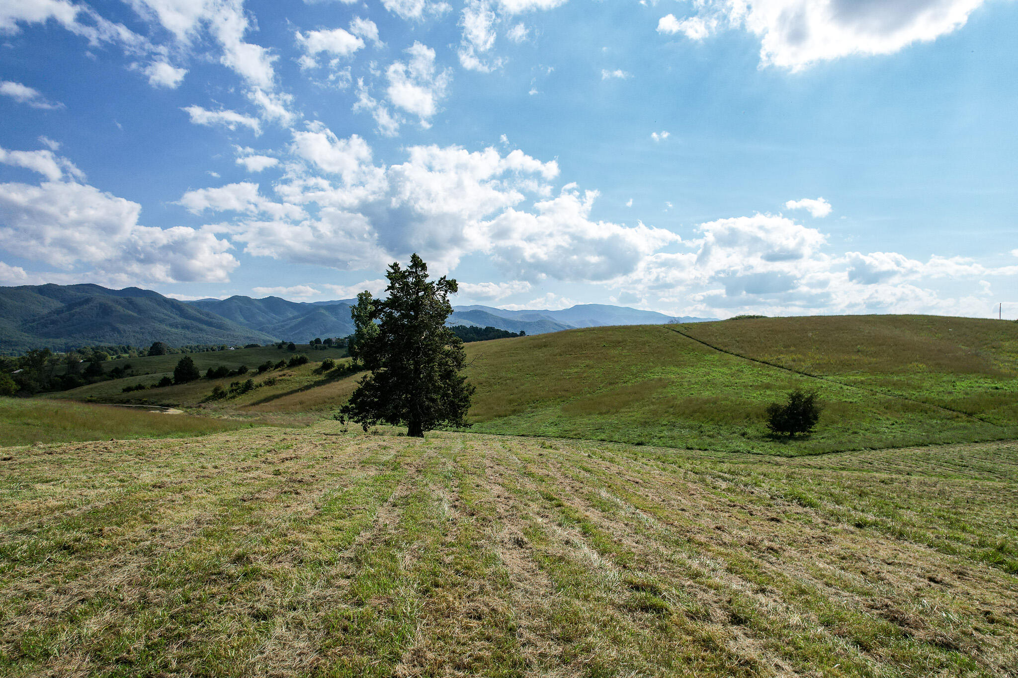 3.75-acres Laws Road, Unit 5R Limestone, TN 37681 - Photo 14 of 14 DJI_0612