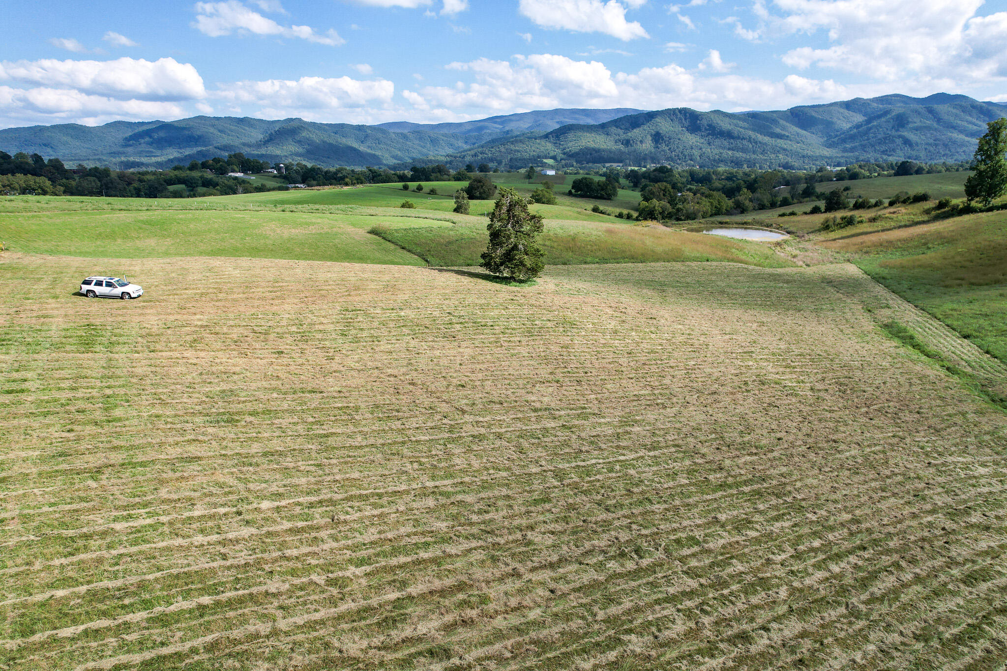 3.75-acres Laws Road, Unit 5R Limestone, TN 37681 - Photo 9 of 14 DJI_0606