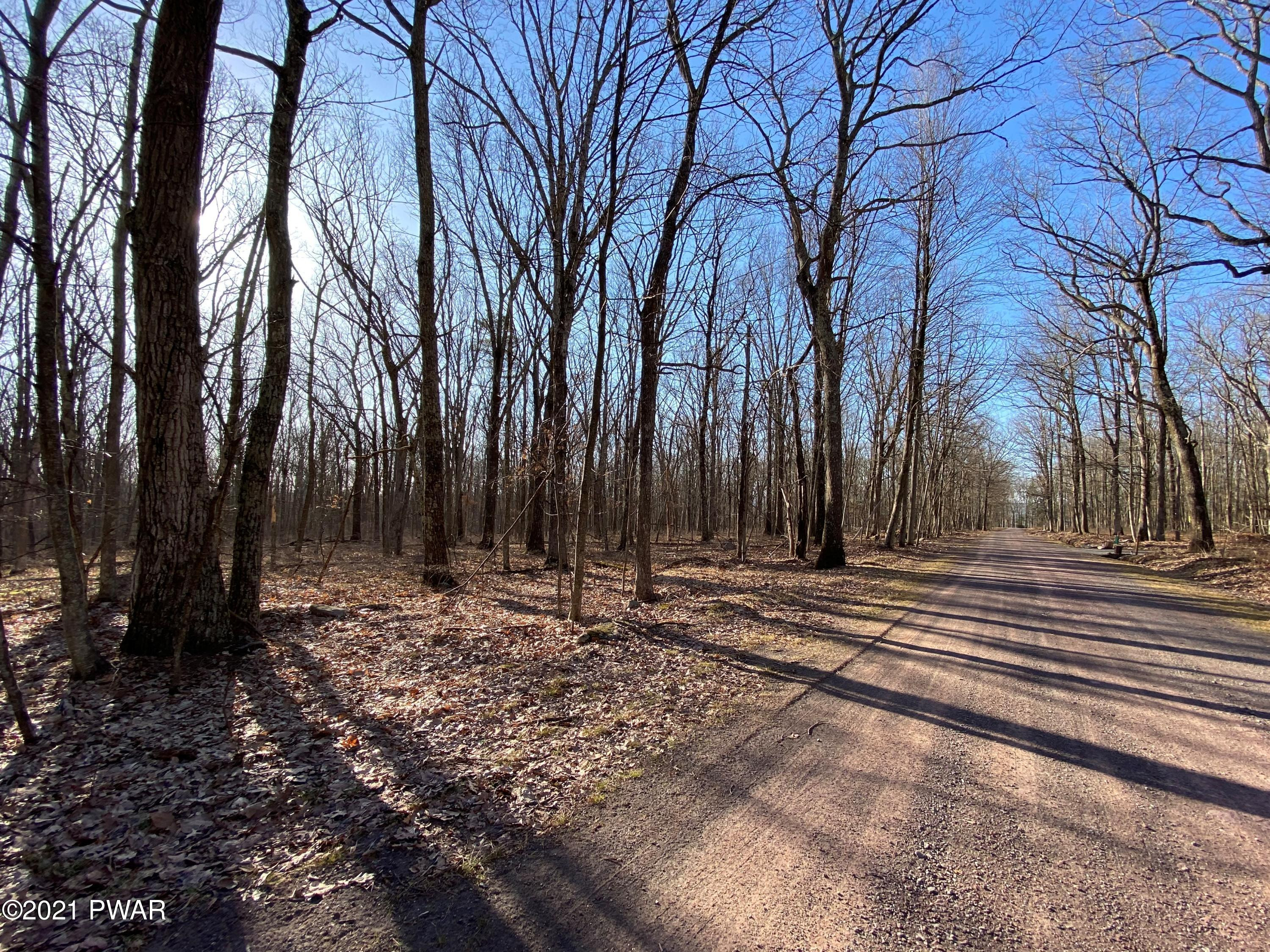 Lot 104 Mountaintop Road Lackawaxen, PA 18435 - Photo 5 of 7