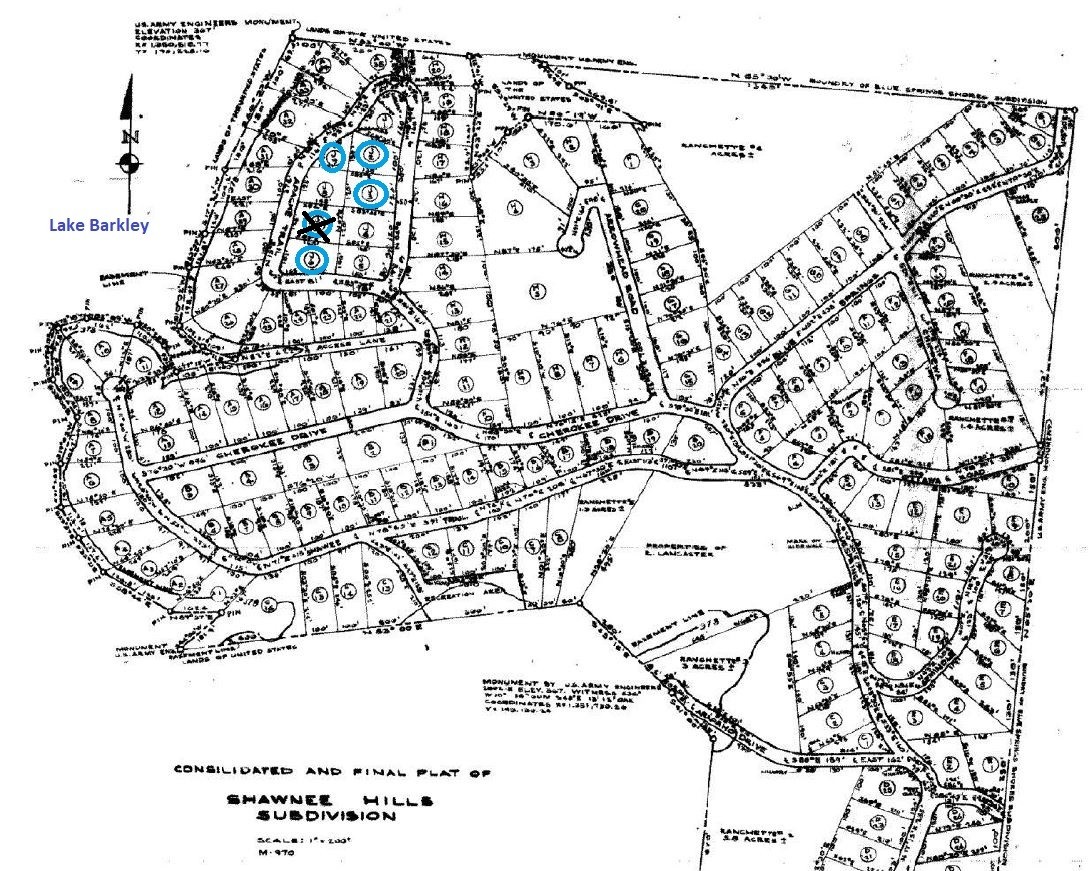 301 Apache Trail Cadiz, KY 42211 - Photo 46 of 47 a black and white photo of a painting