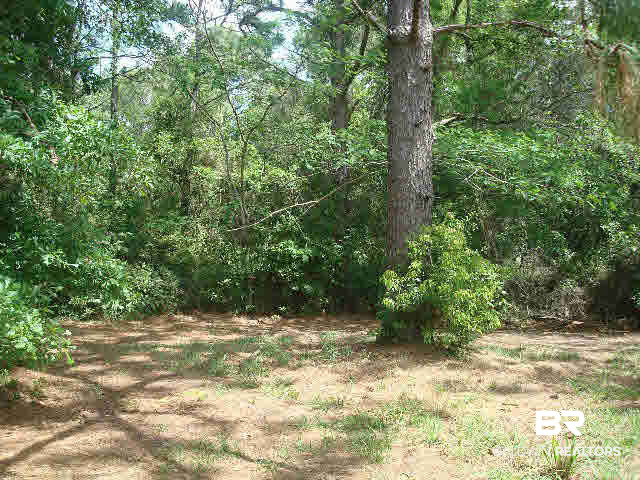 25025 County Road 49 Loxley, AL 36551 - Photo 21 of 24