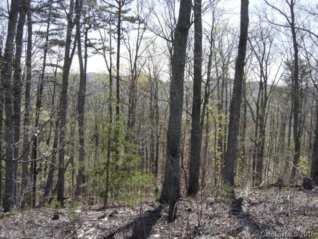 40 Arbra Mountain Road Bostic, NC 28018 - Photo 1 of 16 Gallery Image 1