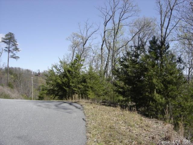 40 Arbra Mountain Road Bostic, NC 28018 - Photo 2 of 16 Gallery Image 2