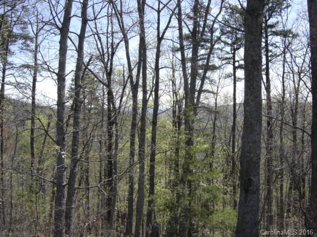 40 Arbra Mountain Road Bostic, NC 28018 - Photo 4 of 16 Gallery Image 4