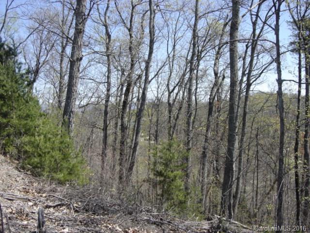 40 Arbra Mountain Road Bostic, NC 28018 - Photo 5 of 16 Gallery Image 5