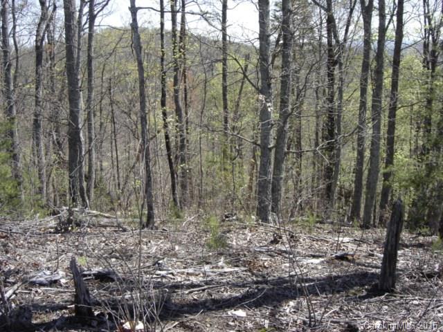 40 Arbra Mountain Road Bostic, NC 28018 - Photo 6 of 16 Gallery Image 6