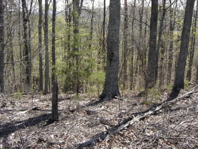 40 Arbra Mountain Road Bostic, NC 28018 - Photo 7 of 16 Gallery Image 7