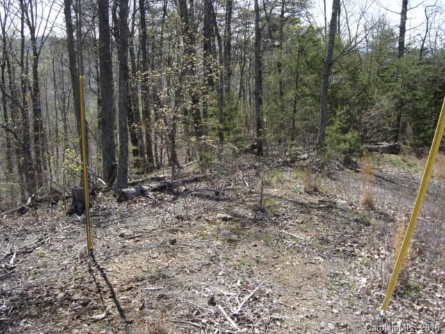 40 Arbra Mountain Road Bostic, NC 28018 - Photo 8 of 16 Gallery Image 8