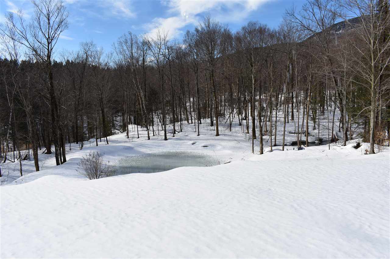 3932 Mines Road Lowell, VT 05847 - Photo 22 of 31
