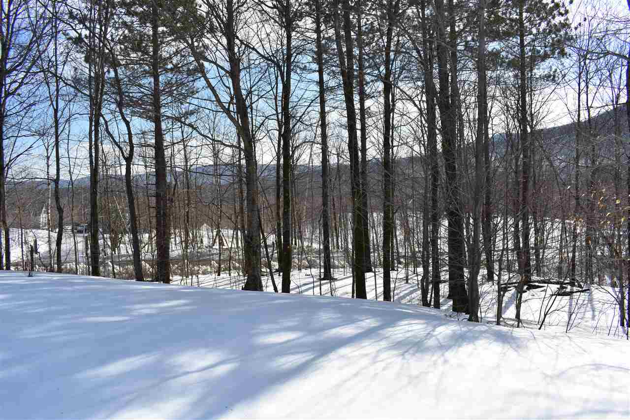 3932 Mines Road Lowell, VT 05847 - Photo 28 of 31