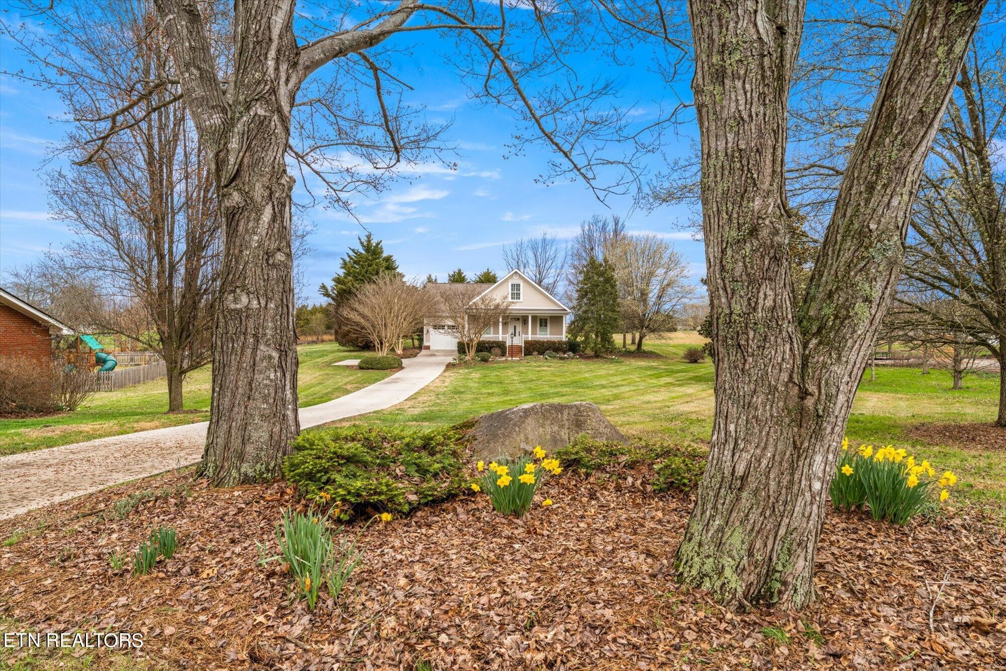 7016 Castlewood Road Knoxville, TN 37931 - Photo 3 of 58 a view of a yard with plants and large trees