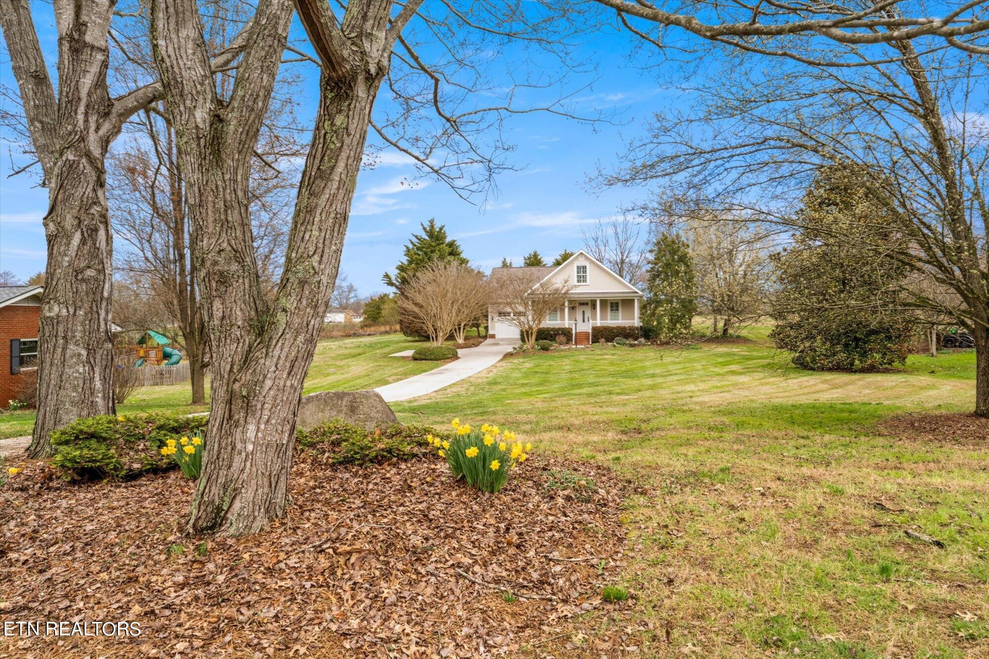 7016 Castlewood Road Knoxville, TN 37931 - Photo 4 of 58 a view of a yard with an trees