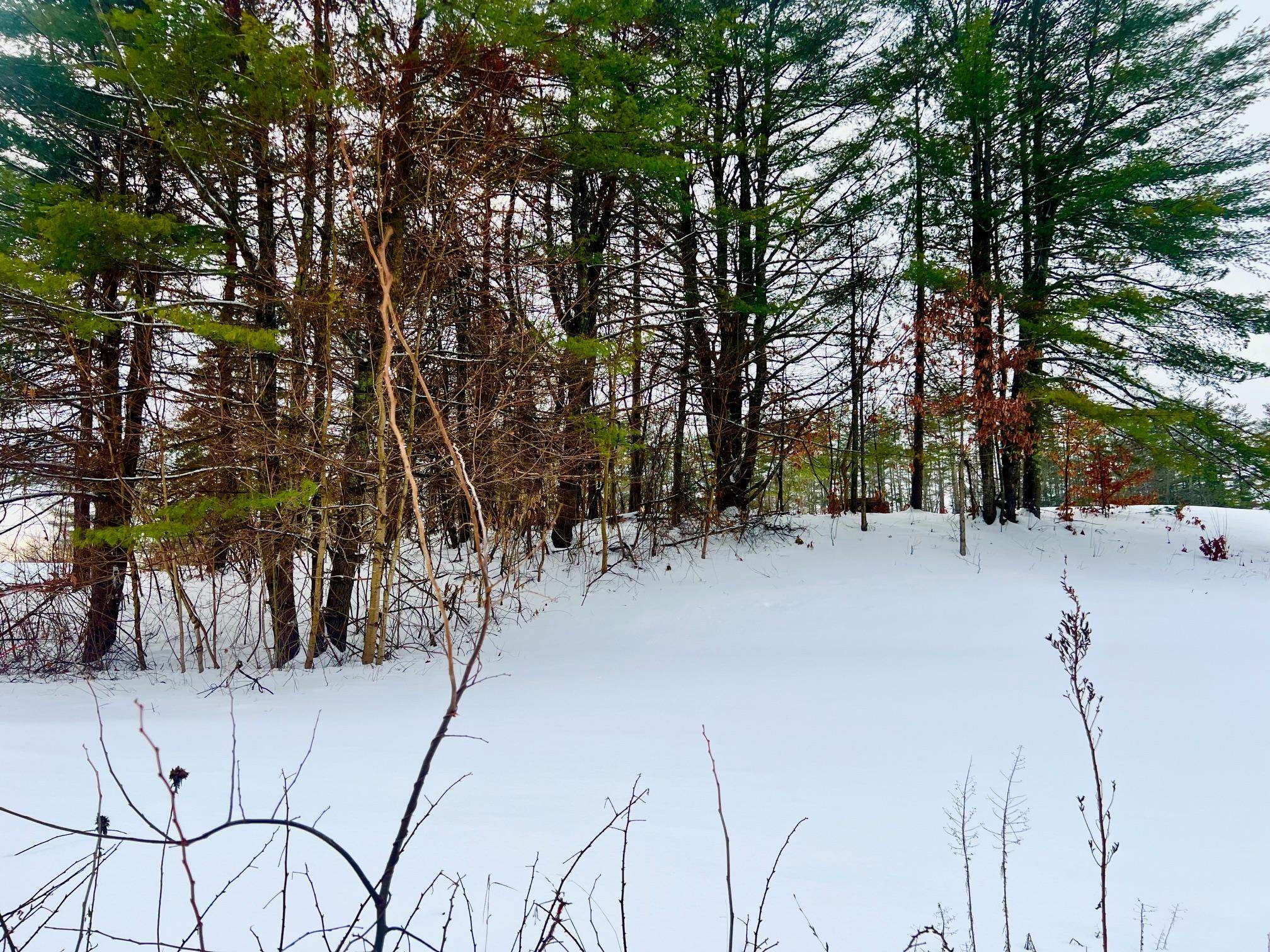 200 Walker Road Alexandria, NH 03222 - Photo 9 of 17