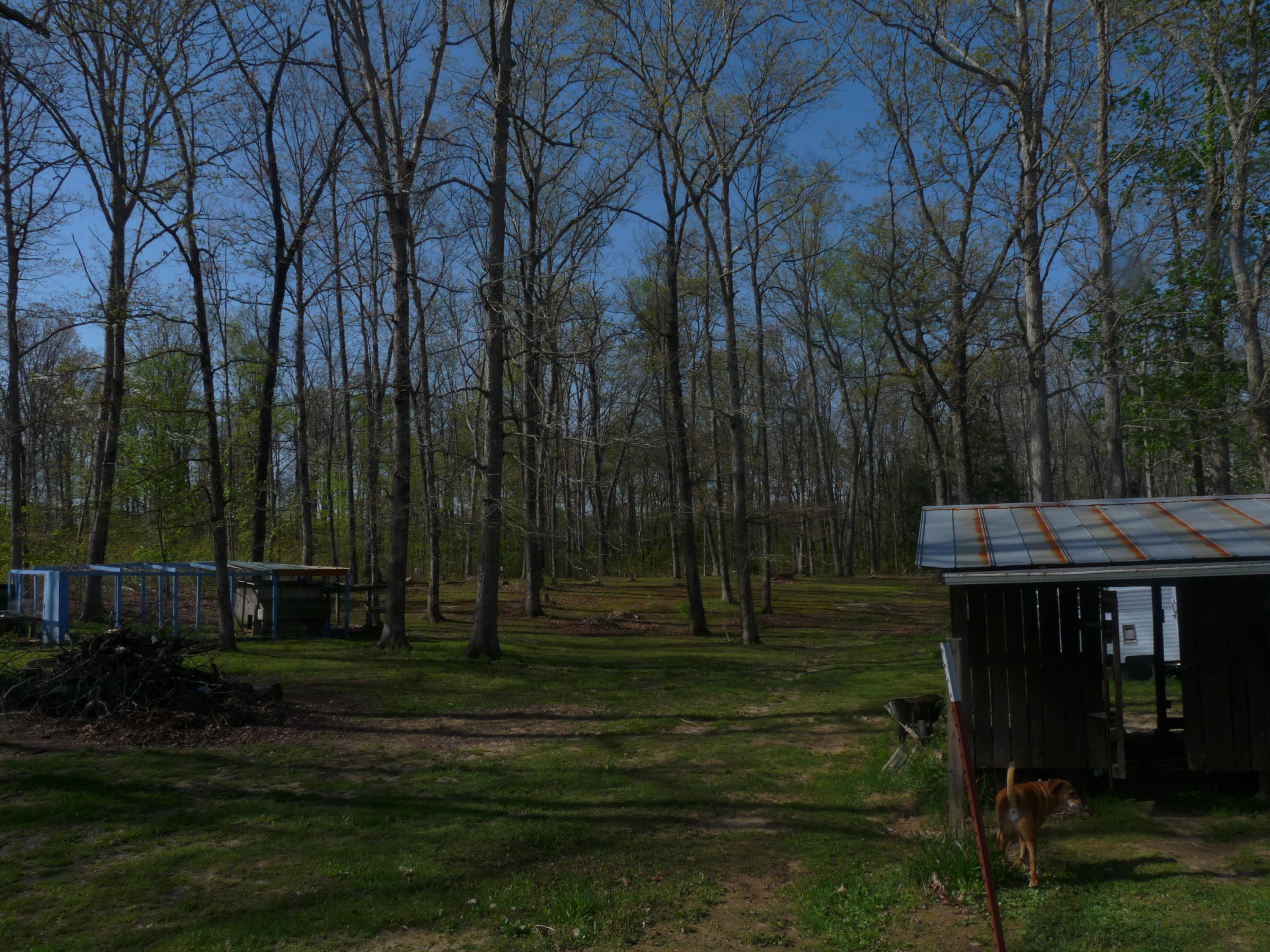 368 Rachel Road Crossville, TN 38572 - Photo 11 of 27 Rachel & Santee 013