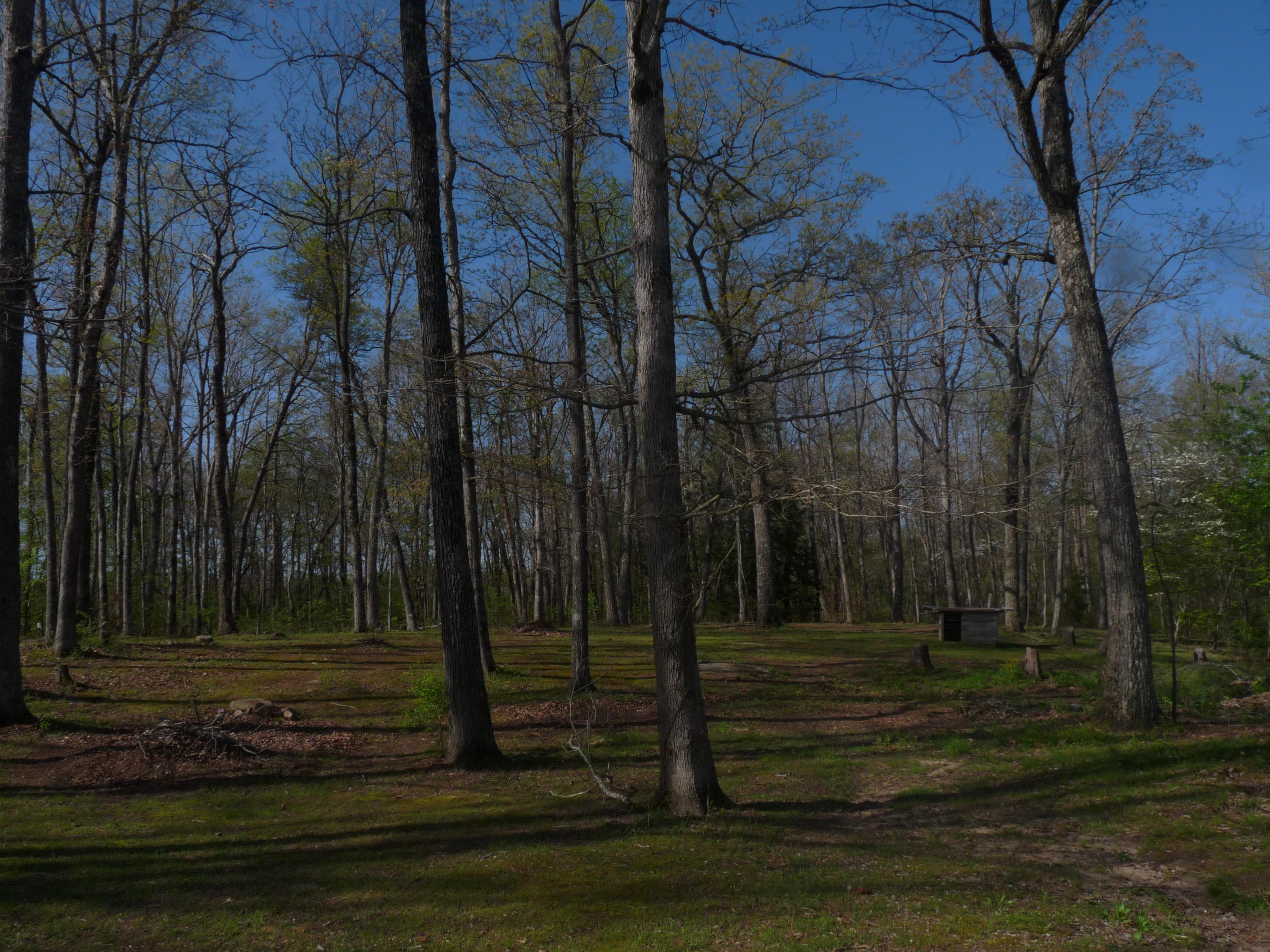 368 Rachel Road Crossville, TN 38572 - Photo 12 of 27 Rachel & Santee 014
