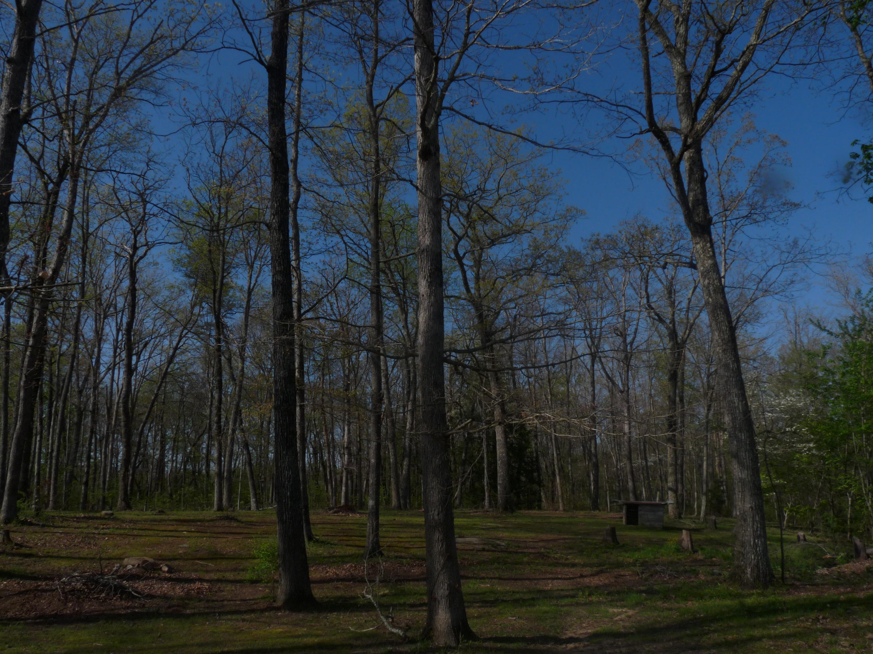 368 Rachel Road Crossville, TN 38572 - Photo 13 of 27 Rachel & Santee 015