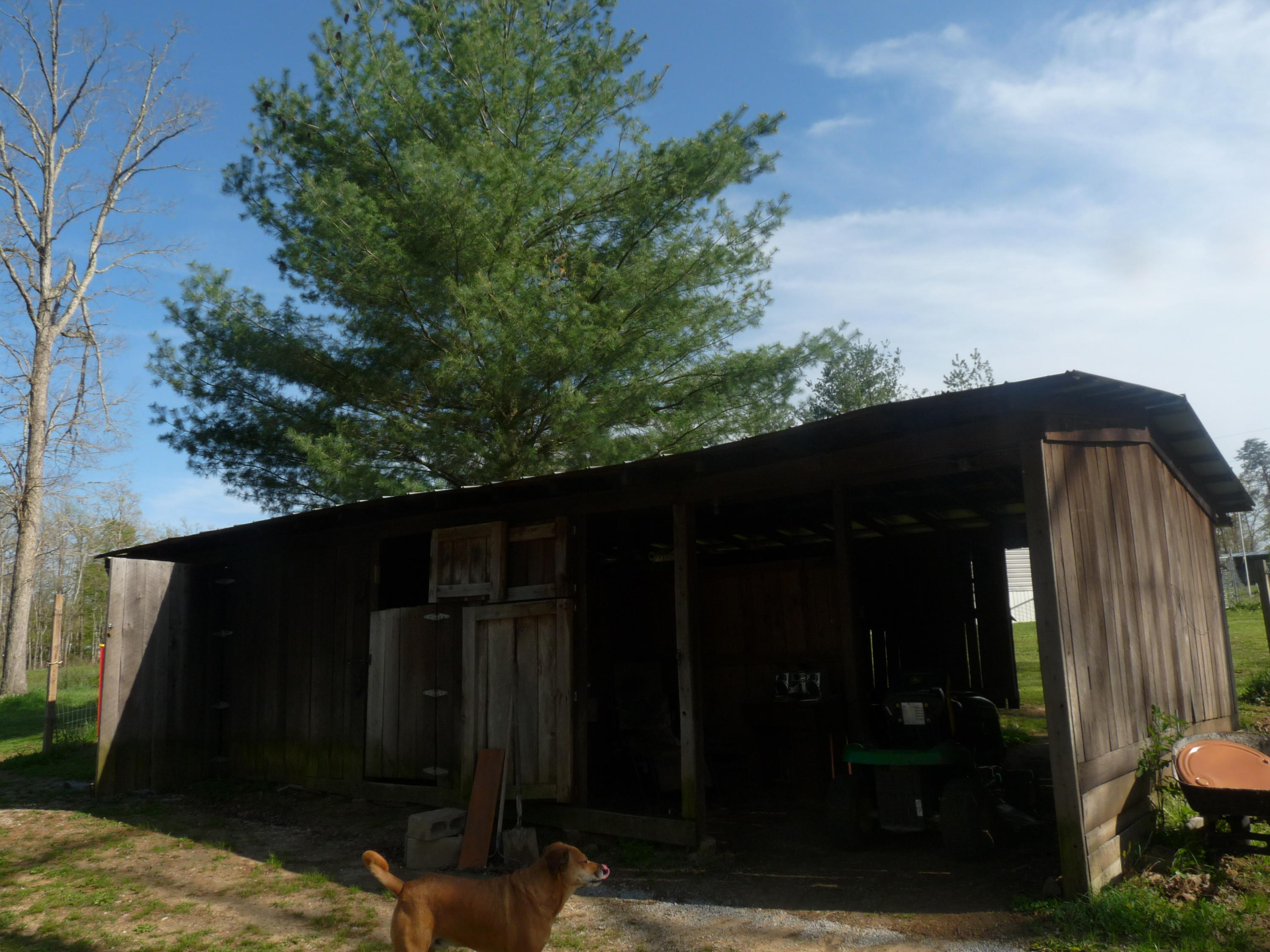 368 Rachel Road Crossville, TN 38572 - Photo 14 of 27 Rachel & Santee 016