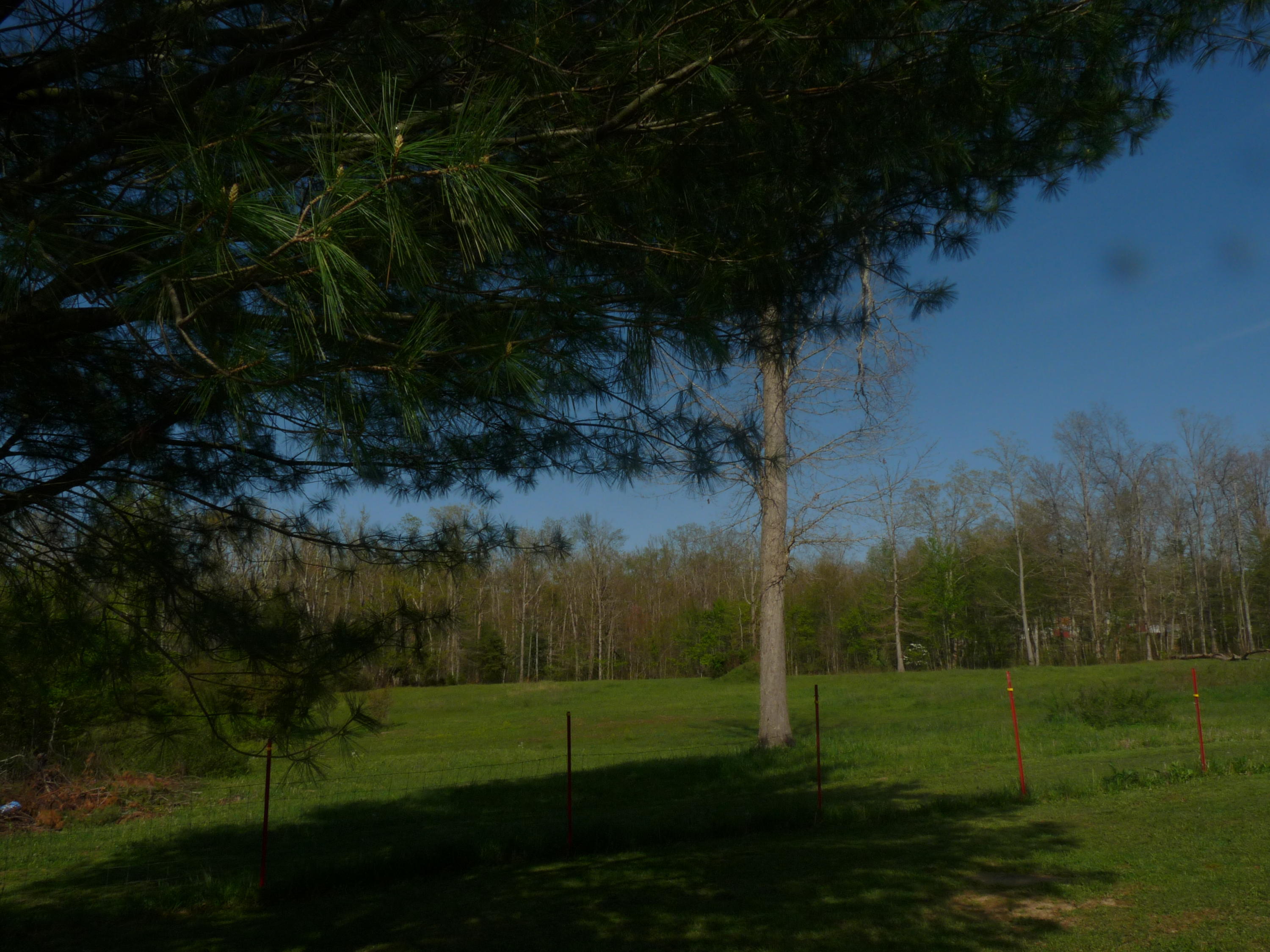 368 Rachel Road Crossville, TN 38572 - Photo 20 of 27 Rachel & Santee 027