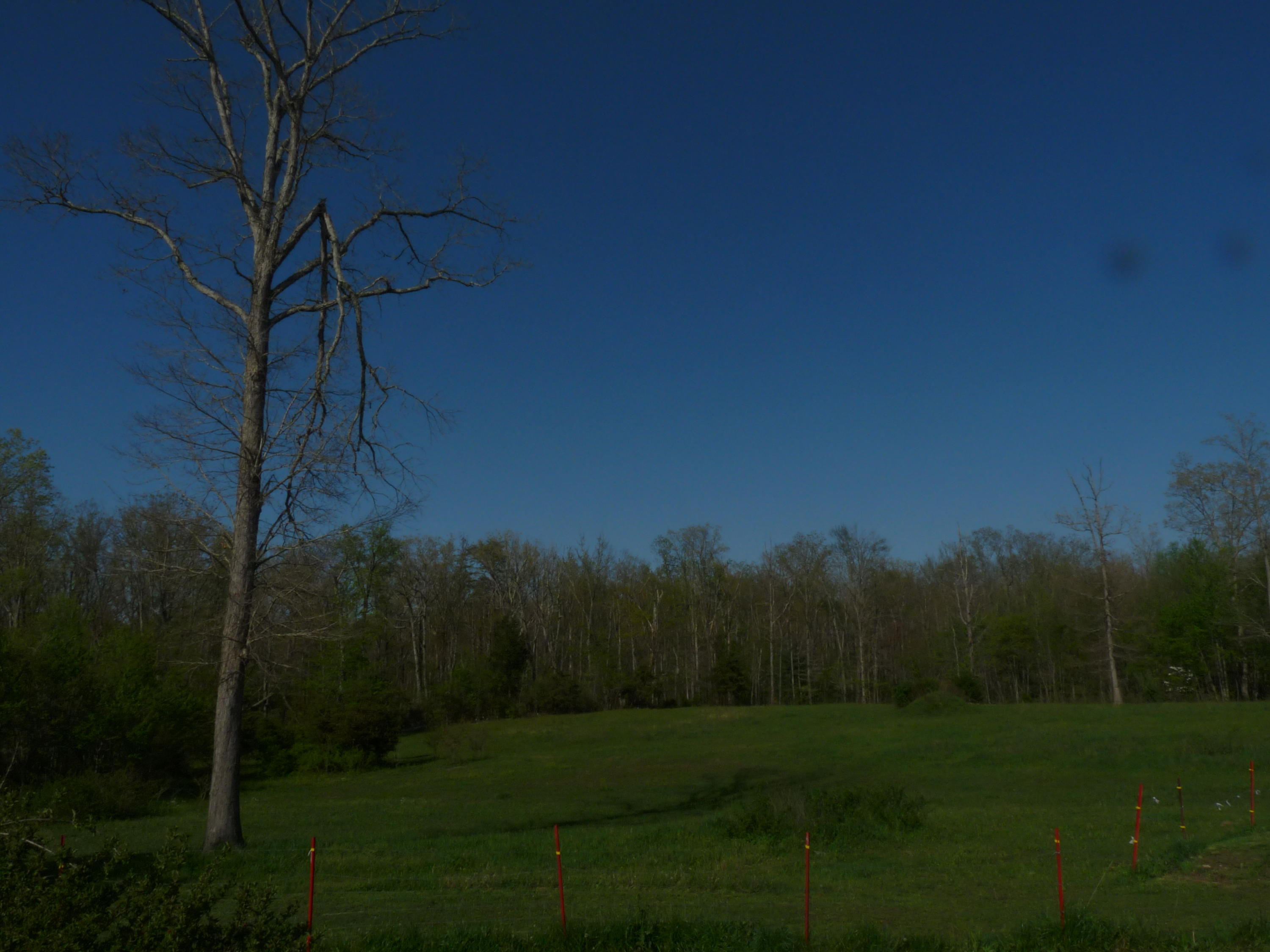 368 Rachel Road Crossville, TN 38572 - Photo 21 of 27 Rachel & Santee 028